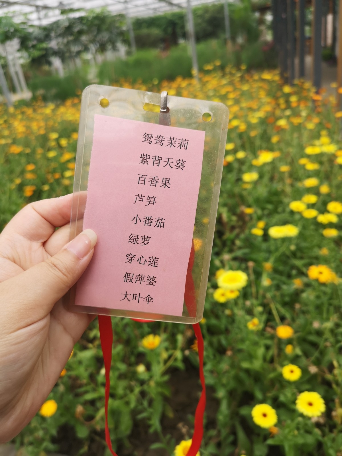 201905181547585qpi