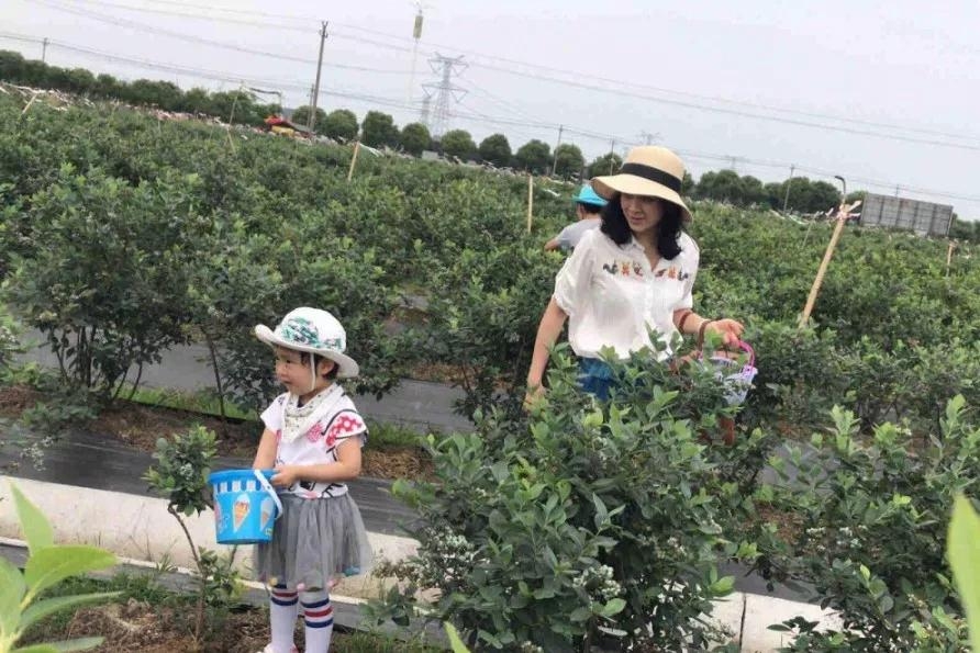 微信图片_20190527094923