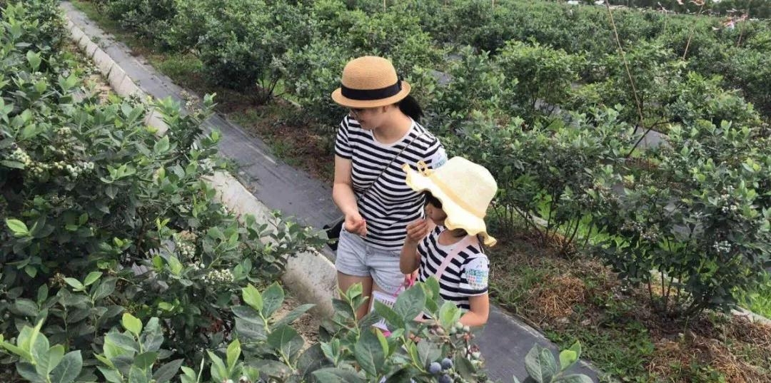 微信图片_20190527094929