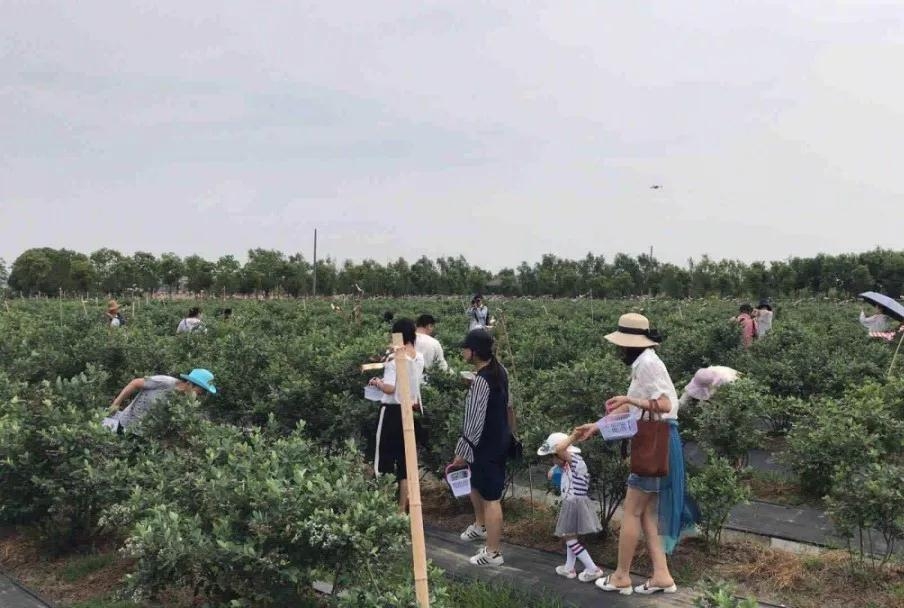 微信图片_20190527094932