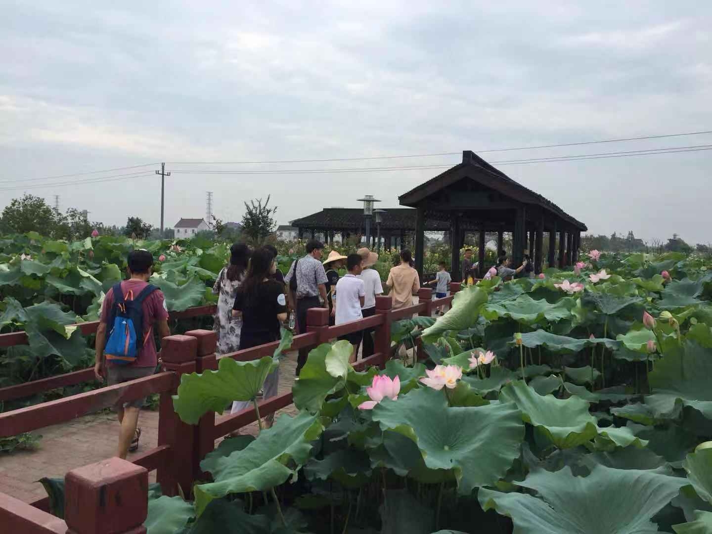 微信图片_20190729171407