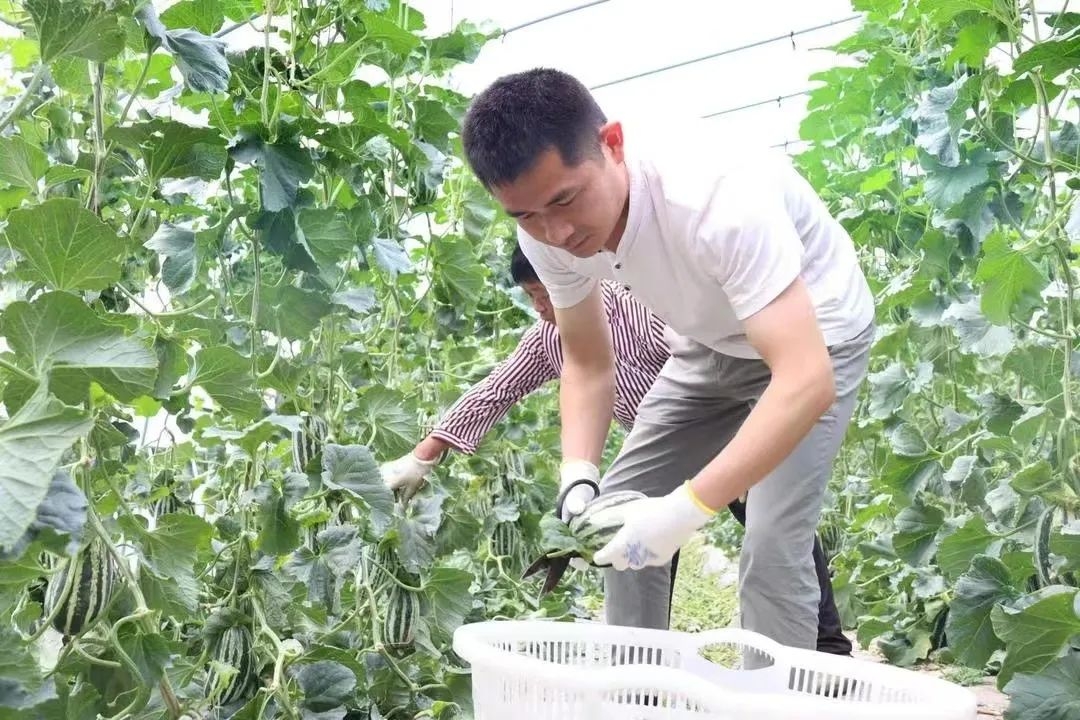 微信图片_20220518100303