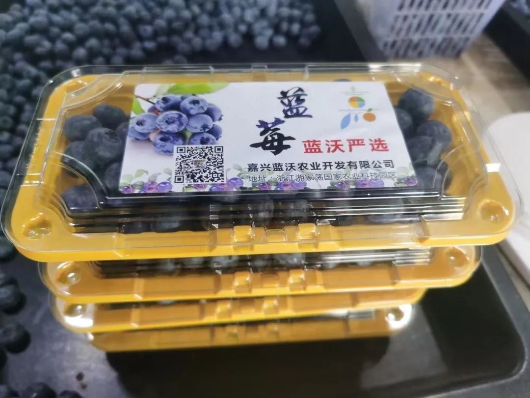 微信图片_20220530164410