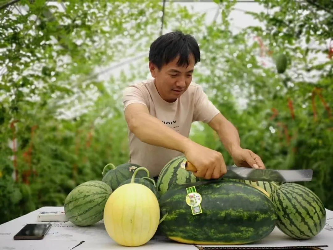 微信图片_20220630100202
