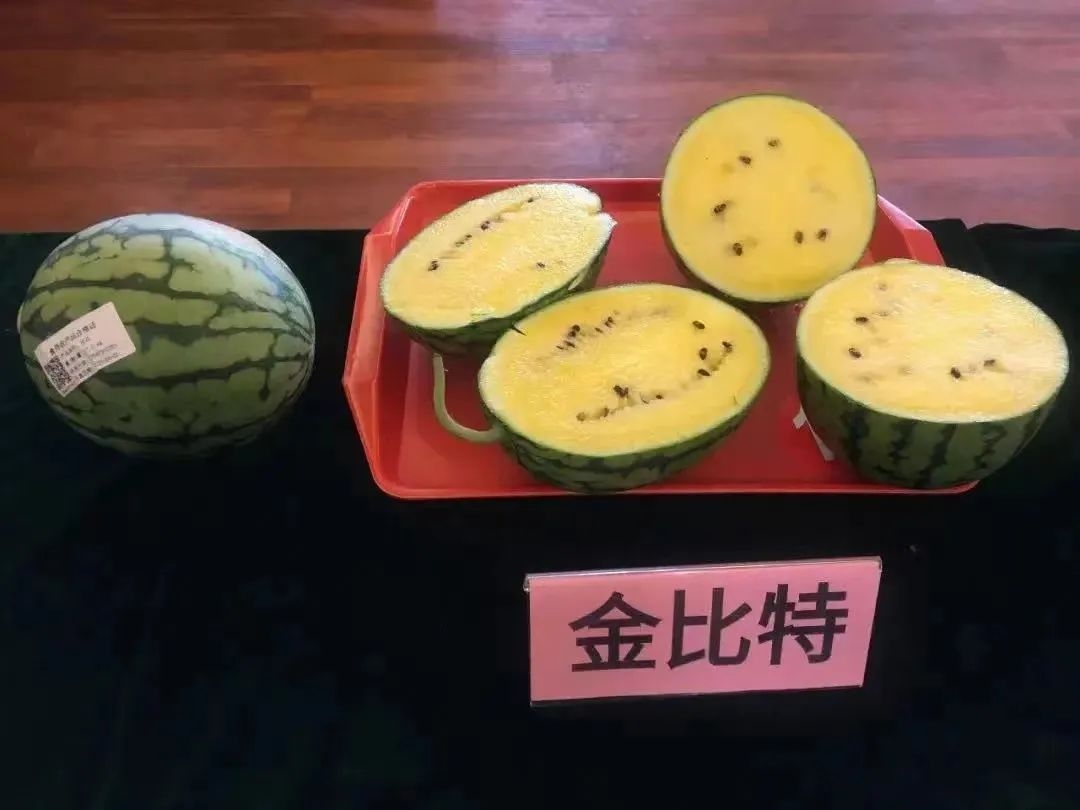 微信图片_20220630100409