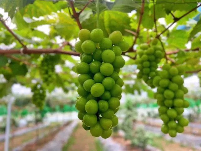 微信图片_20220905155021