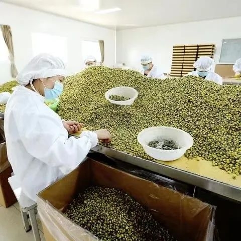 微信图片_20220905162423