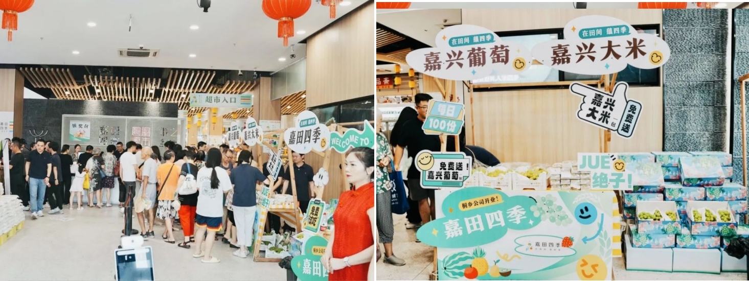微信截图_20240807170655