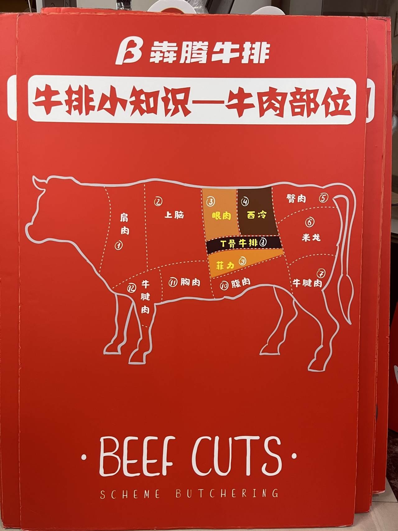 1723890672306_66c07bf07650706f097b68b3