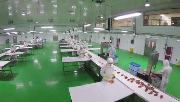 微信图片_20250620165800