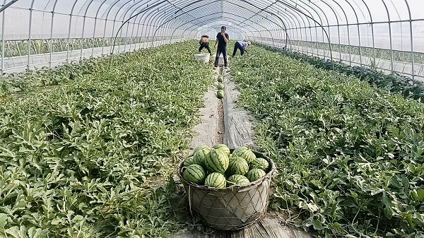 微信图片_20260609143227_109_209