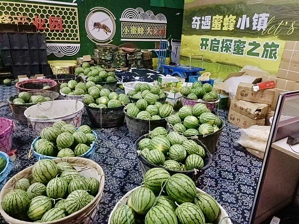 微信图片_20260609143228_110_209